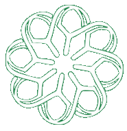 the-majlis-collective